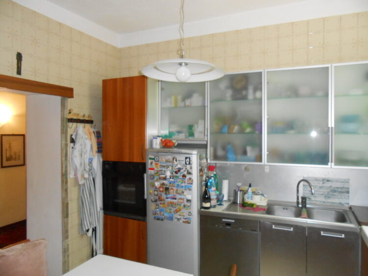 DSCN7234 (FILEminimizer) 1785252410 gallery 750x563